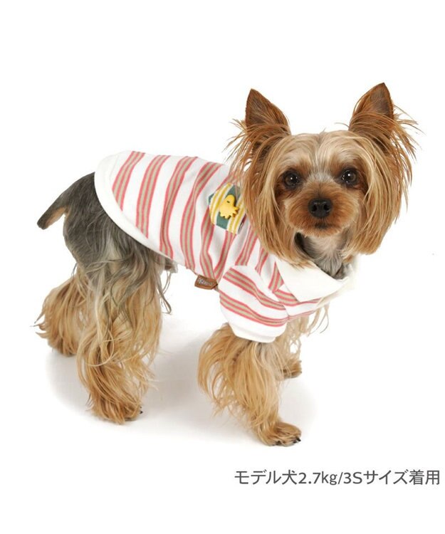 PET PARADISE スヌーピー ポロシャツ 《ボーダー》 小型犬 ホワイト×レッド