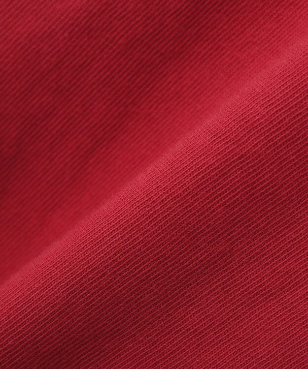 AMERICAN HOLIC レイヤード風加工Ｔシャツ Red