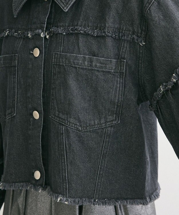 Green Parks ・ＤＯＵＢＬＥ　ＦＬＡＧＳ　フレアスリーブＧジャン Black