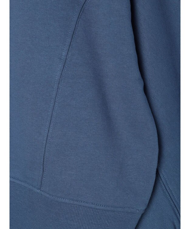 Green Parks ・ＳＵＧＡＲ　ＳＰＯＯＮ　ドルマンウラケスウェット Blue