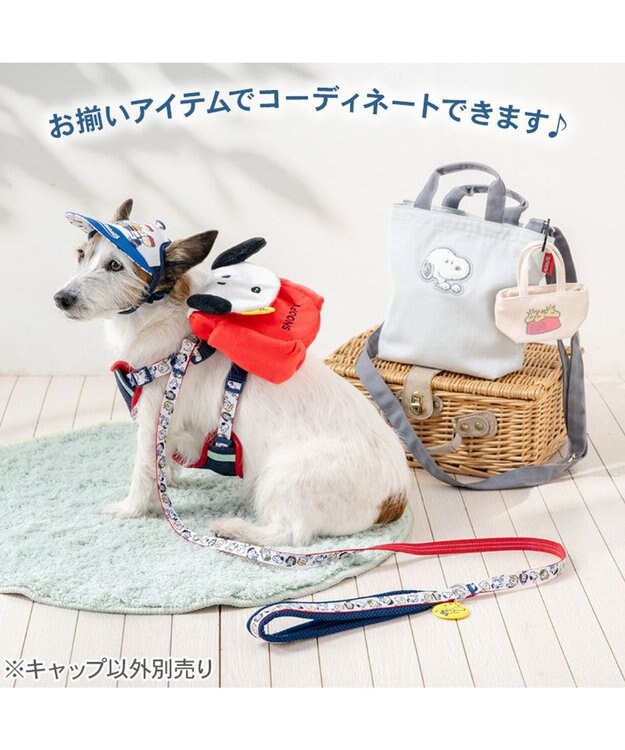 PET PARADISE スヌーピー スター キャップ ４Ｓ～３Ｓ/ＳＳ～Ｓ ネイビー×ホワイト