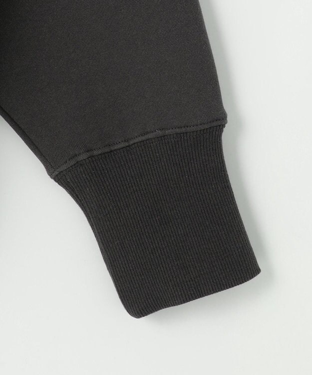 ANY L 【洗濯機可】裏起毛スウェットロゴプルオーバー チャコール