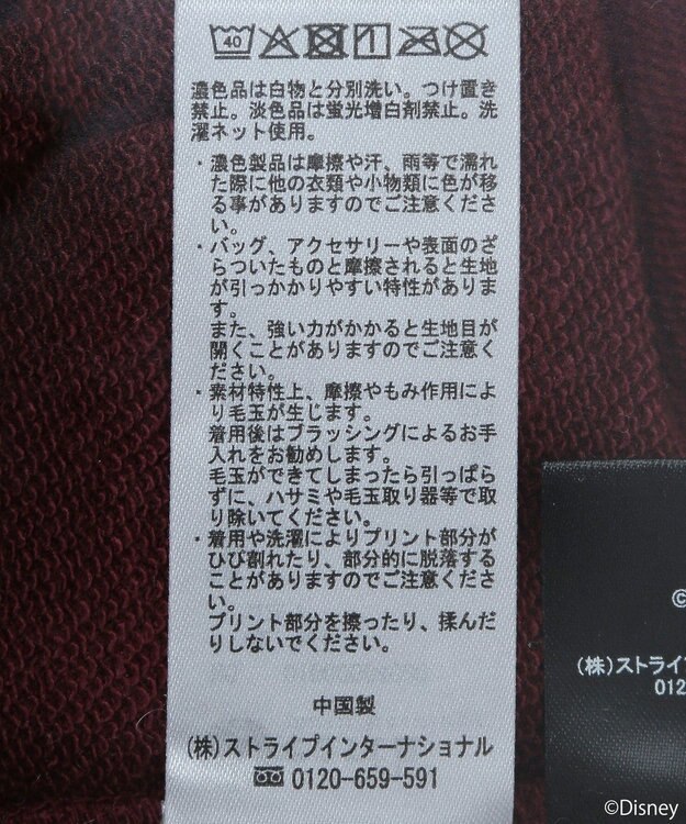 earth music&ecology Ｄｉｓｎｅｙ／レトロコミックハーフｚｉｐスウェット Red