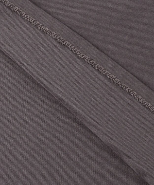 ANY SIS L ロゴ刺繍 Tシャツ スレート