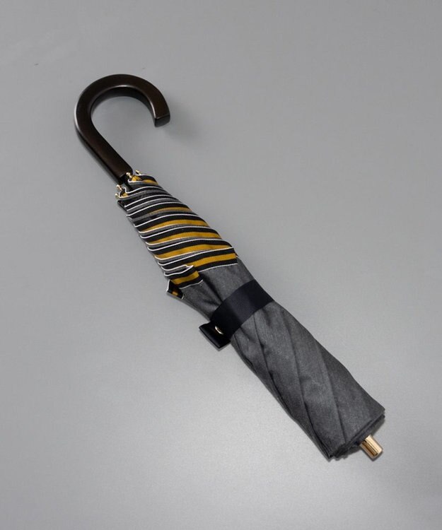 AURORA Beaurance （ビューランス）晴雨兼用傘（トップフラット） チャコールグレー