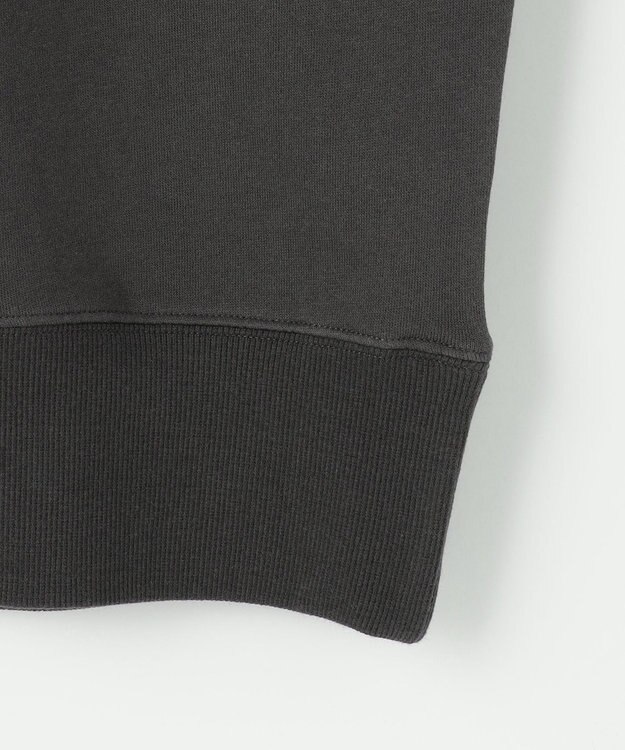 ANY 【洗濯機可】裏起毛スウェットロゴプルオーバー チャコール