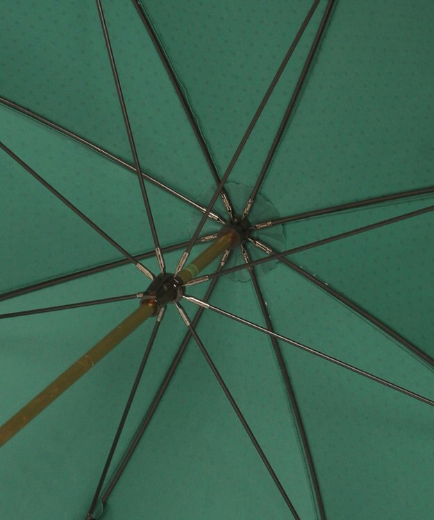 MOONBAT POLO RALPH LAUREN(ポロ ラルフローレン) ツイルドットポロポニー 雨傘 長傘 オリーブグリーン