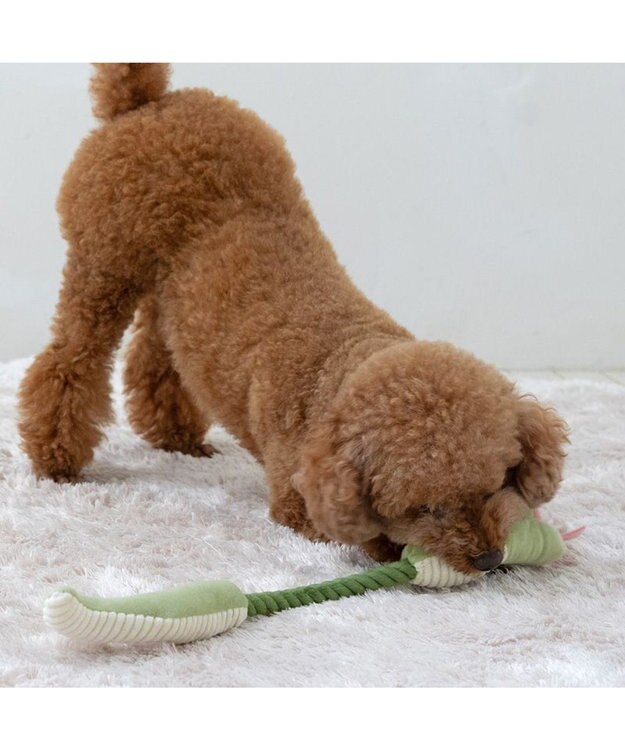 PET PARADISE ペットパラダイス 干支 へび ロープトイ グリーン