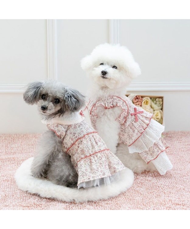 PET PARADISE ペットパラダイス レース襟 小花 ワンピース 小型犬 ライトピンク