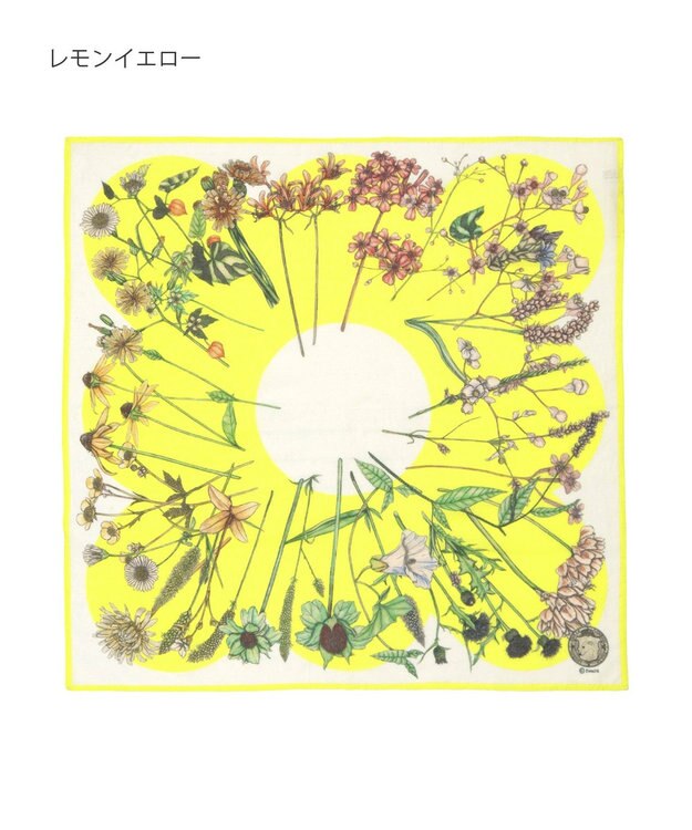 MOONBAT SWASH LONDON フラワープリント コットン スカーフ レモンイエロー