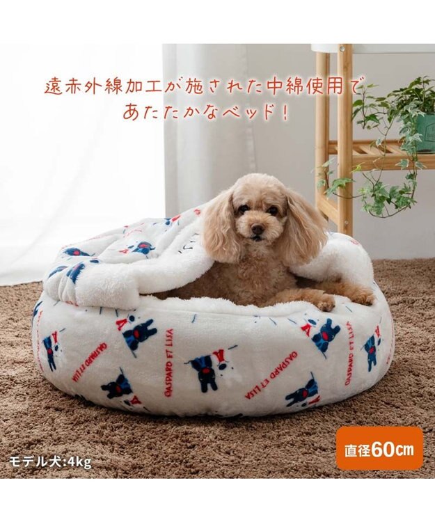 犬 ベッド くまちゃん柄 遠赤外線 丸型 寝袋 (50cm) | ?あったか 防寒
