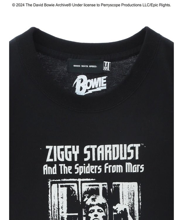 Green Parks ■Ｄａｖｉｄ　Ｂｏｗｉｅ　ＡＬＢＵＭ　ＣＯＶＥＲ　ＴＥＥ Black