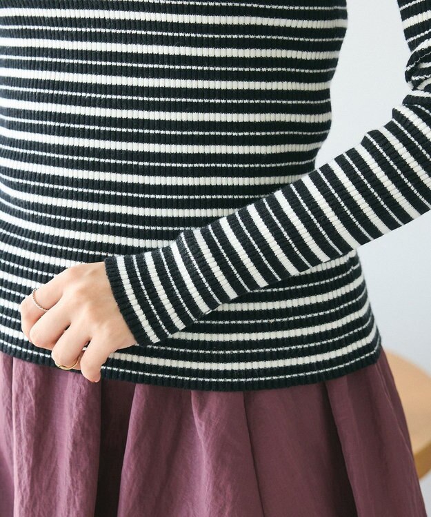 CRAFT STANDARD BOUTIQUE 洗える/とてもちリブタートルネックニットプルオーバー/24AW Border Black