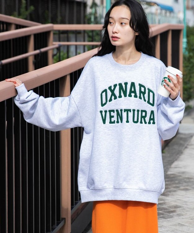 WEGO ヘビーウエイトサガラグラフィックプルオーバー 柄1