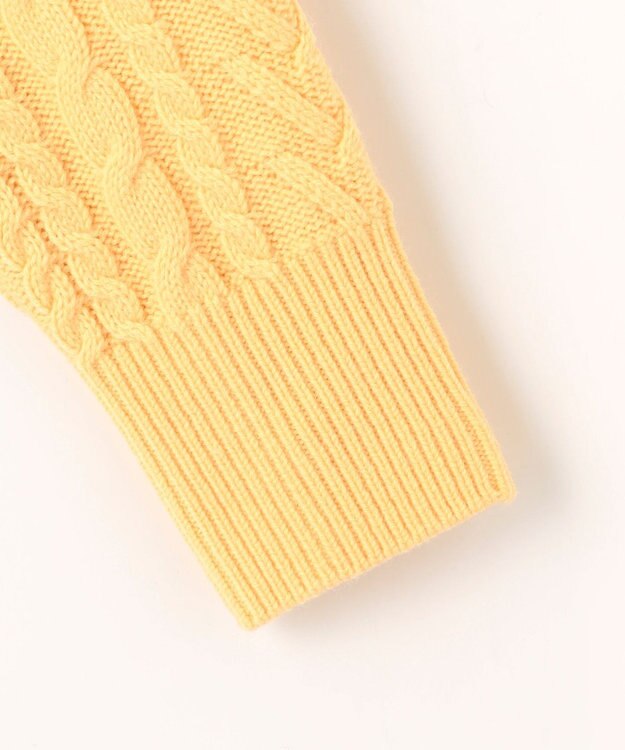 J.PRESS LADIES L 【WEB限定カラーあり・洗える】EIGER CORD ALAN クルーネックプルオーバー ニット イエロー系