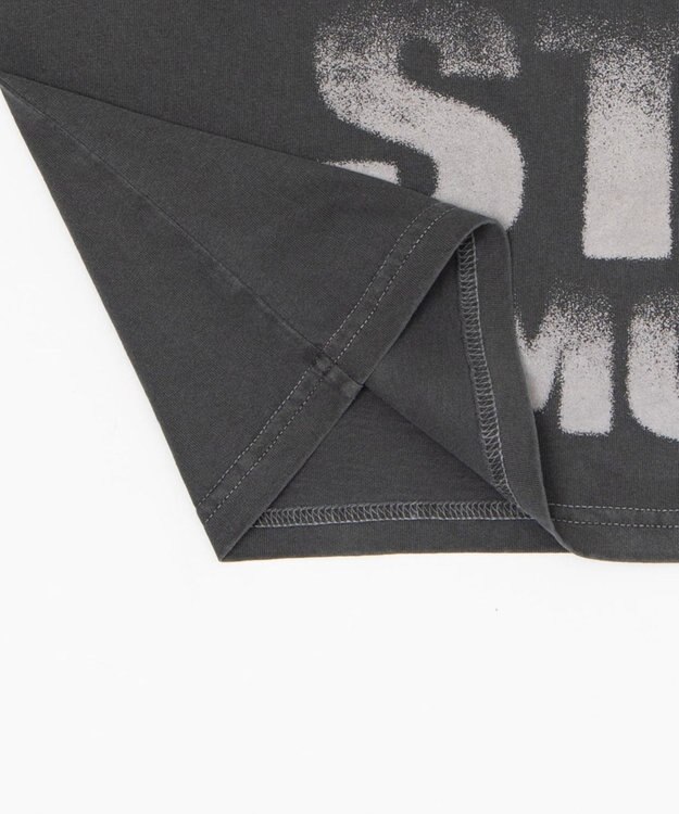 WEGO 【ユニセックス着用ITEM/MLサイズ展開】クロップドグラフィックT（SS） ブラックその他