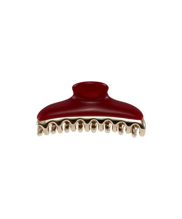 ACCA ルージュ ア レヴル クリップ セット その他