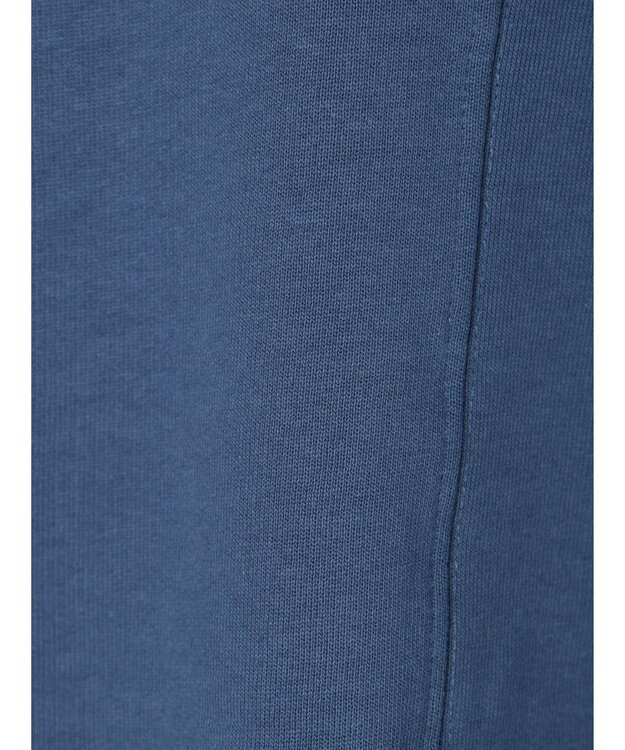 Green Parks ・ＳＵＧＡＲ　ＳＰＯＯＮ　ドルマンウラケスウェット Blue