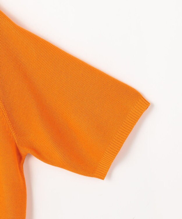 ANY L アクリルガーターポロ衿ニット マリーゴールド