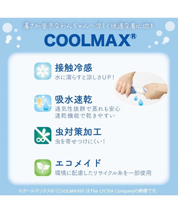 PET PARADISE リサとガスパール エコメイド ワンピース 《ボタニカル》 小型犬 ホワイト