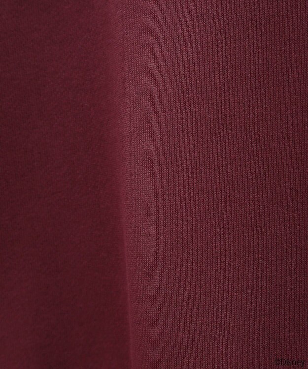 earth music&ecology Ｄｉｓｎｅｙ／レトロコミックハーフｚｉｐスウェット Red