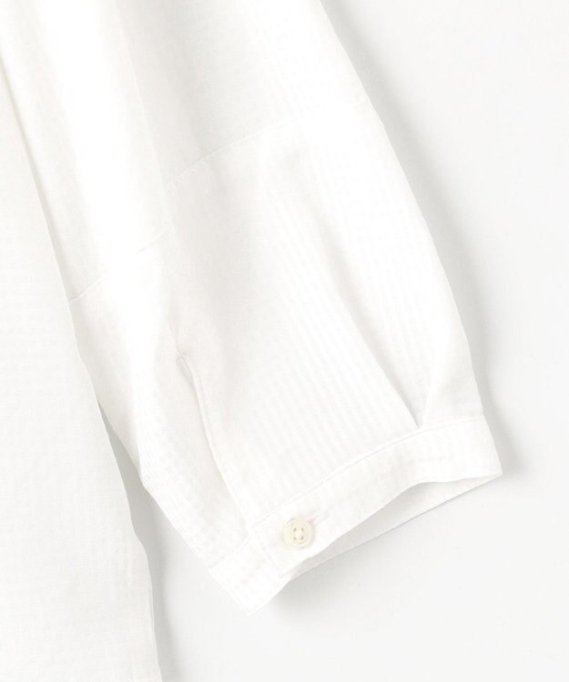 J.PRESS LADIES S 【洗える】アセVisシャドーギンガム タック ブラウス ホワイト系