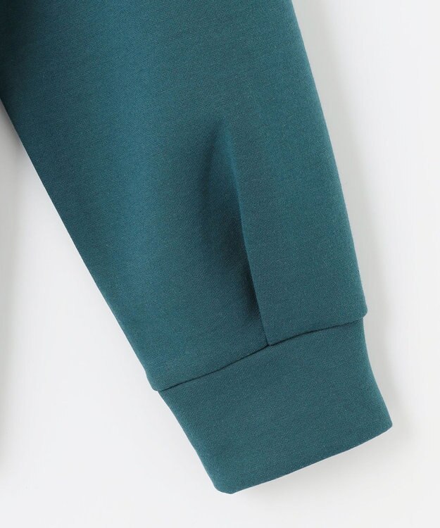 J.PRESS LADIES L 【WEB限定カラーあり】ダンボールニットジャージー カットソー ブルーグリーン系