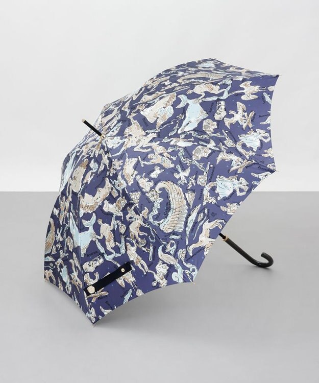 AURORA 【 Beaurance （ビューランス）】88星座プリント雨傘（長傘） ブルー