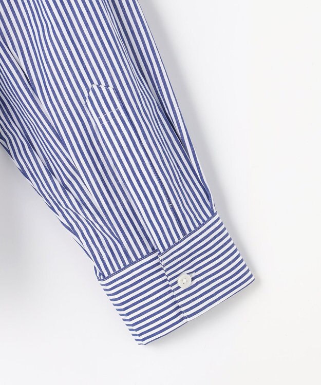 ANY 【POLO BCS別注】プレッピークロップドシャツ ブルーストライプ