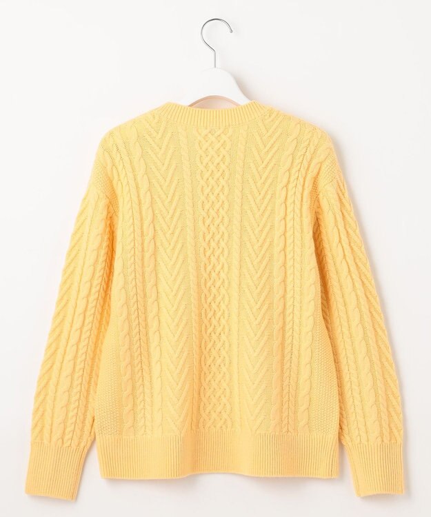 J.PRESS LADIES L 【WEB限定カラーあり・洗える】EIGER CORD ALAN クルーネックプルオーバー ニット イエロー系
