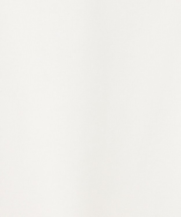 GRACE CONTINENTAL フライスコンパクトトップ ホワイト