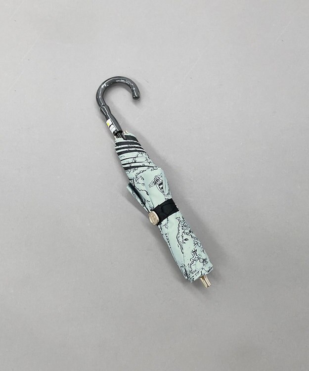 AURORA Beaurance （ビューランス）プリント晴雨兼用傘（2段折り畳み・トップフラット） ミントグリーン