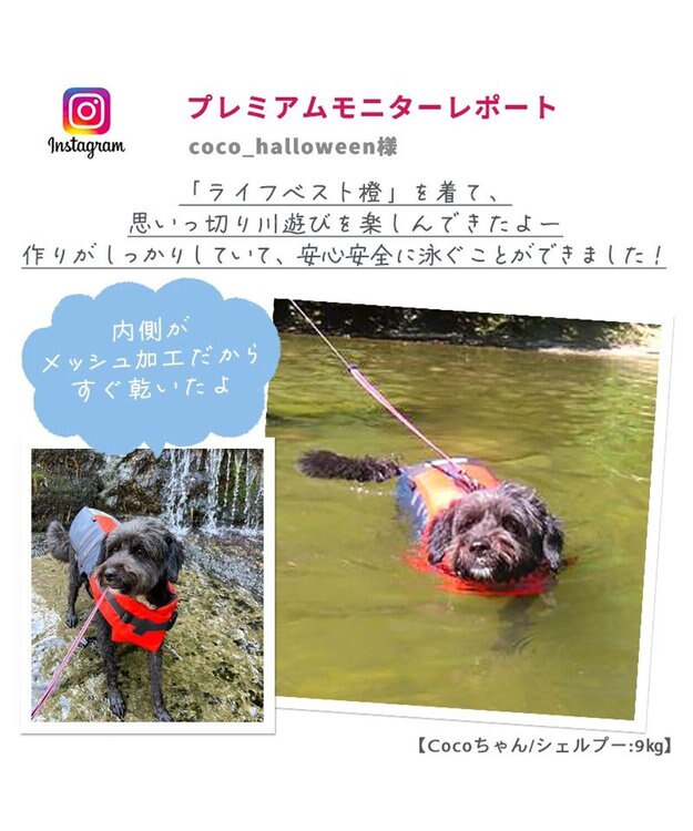 PET PARADISE ペットパラダイス ライフベスト【ＳＳ～Ｓ】 《オレンジ》 オレンジ