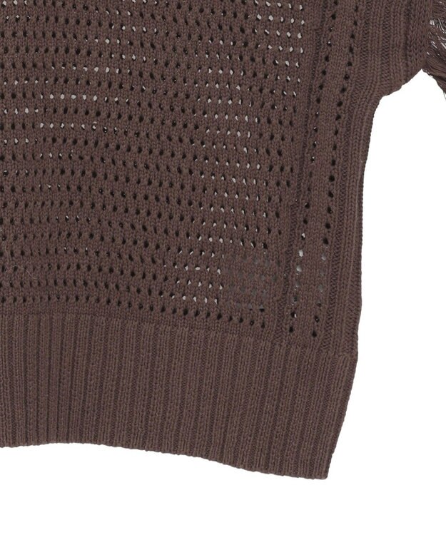 AMERICAN HOLIC 袖フリンジショート丈プルオーバー Brown