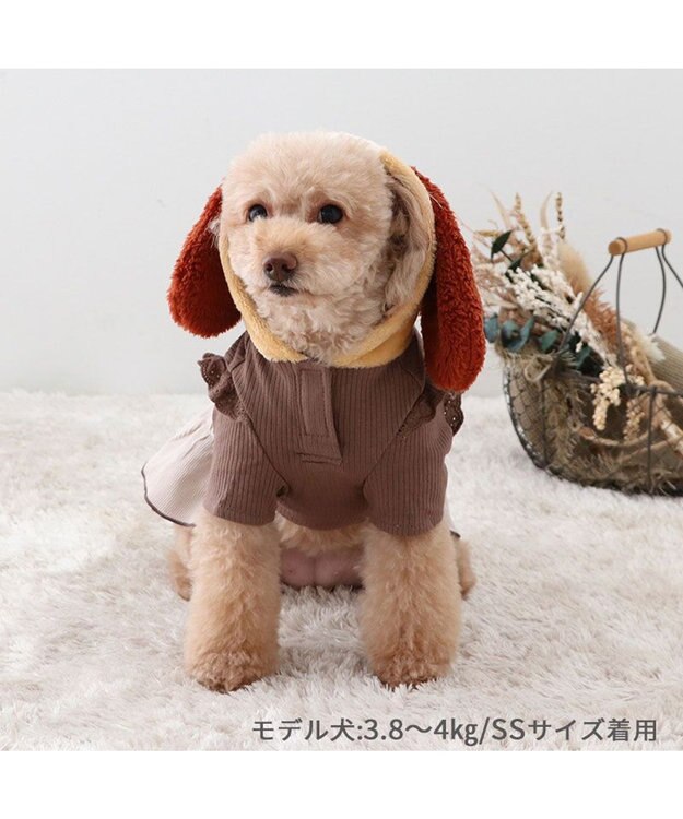 PET PARADISE ディズニー わんわん物語 レディ パーカー 《ブラウン 》 小型犬 ブラウン