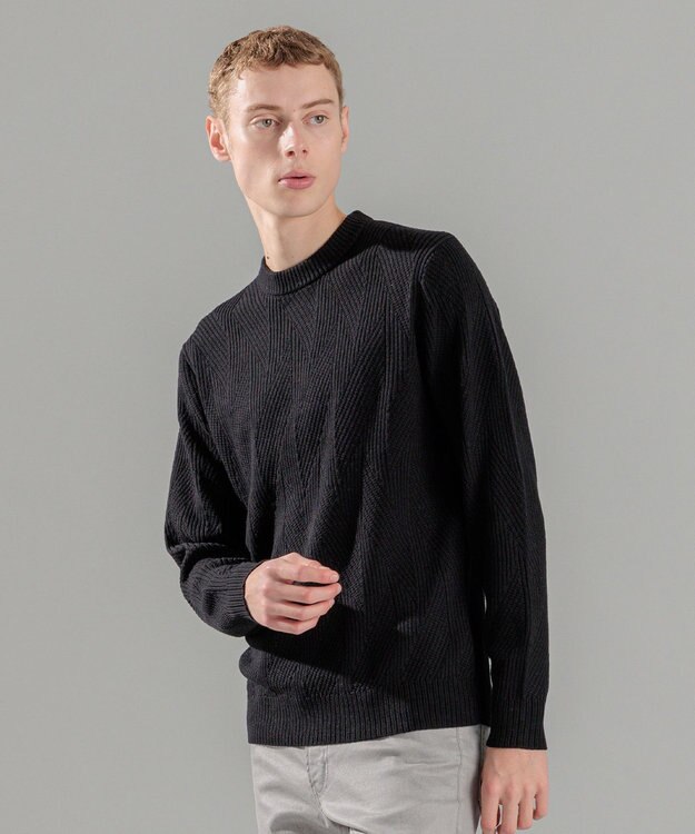 JOSEPH HOMME 新柄【洗える】シルクバルキー  クルーネックニット ブラック系