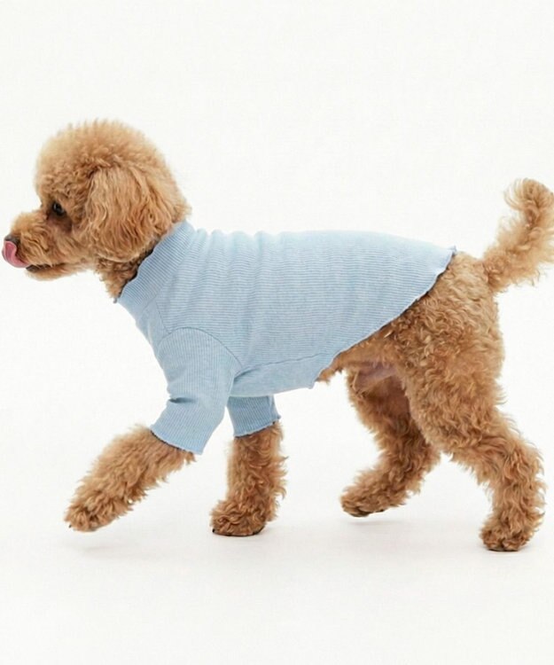 OP／FILA 【Ocean Pacific】メロウドッグウェア ペットウェア サックス