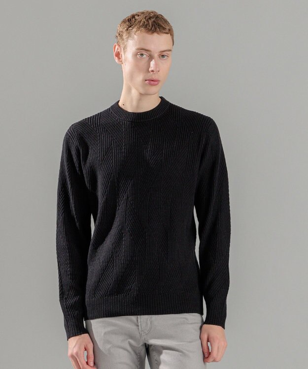 JOSEPH HOMME 新柄【洗える】シルクバルキー  クルーネックニット ブラック系