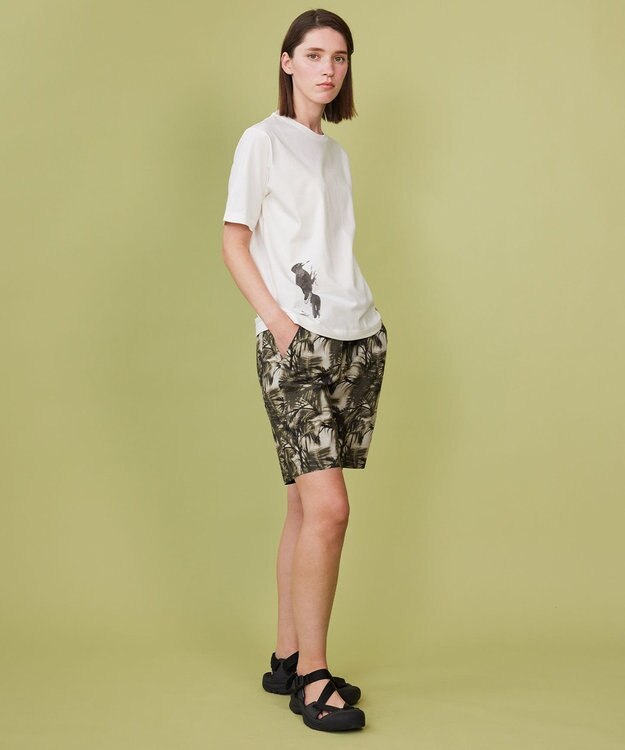 JOSEPH ABBOUD MOUNTAIN 【日本製・アーティストコラボレーション】プレーティング天竺Tシャツ ホワイト系キツツキ