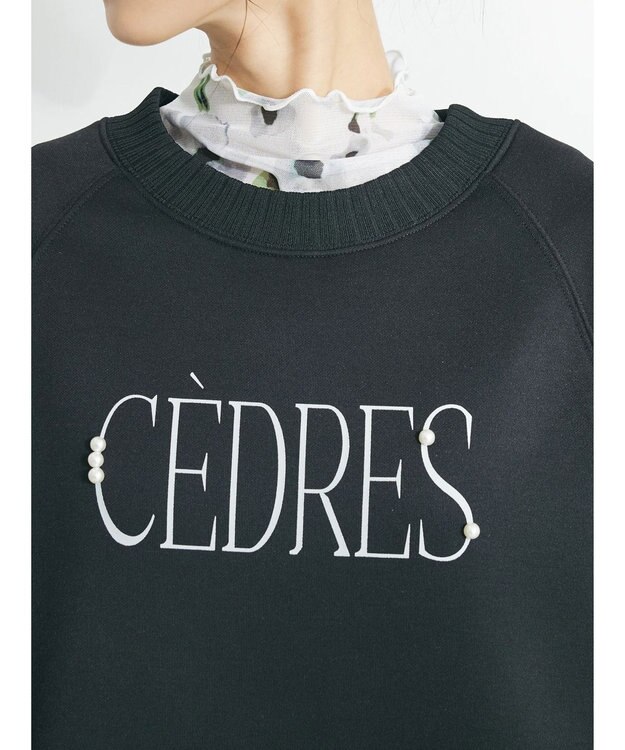 CRAFT STANDARD BOUTIQUE 軽量ボンディングパールロゴプルオーバー Black