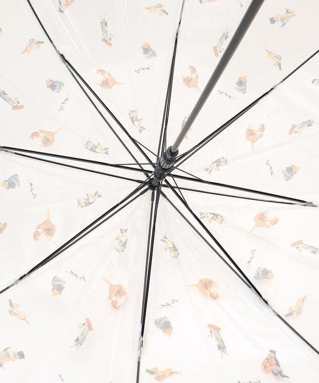 ANY SIS 【猫プリント】沖昌之プラスチックアンブレニャン ベージュ