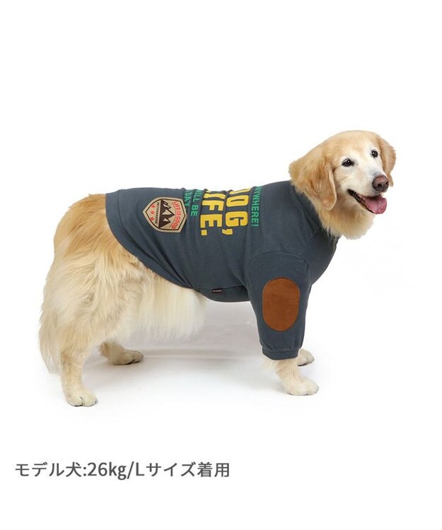 PET PARADISE ペットパラダイス ペティヒート プレミアム トレーナー 《チャコールグレー》 中型犬 大型犬 チャコールグレー