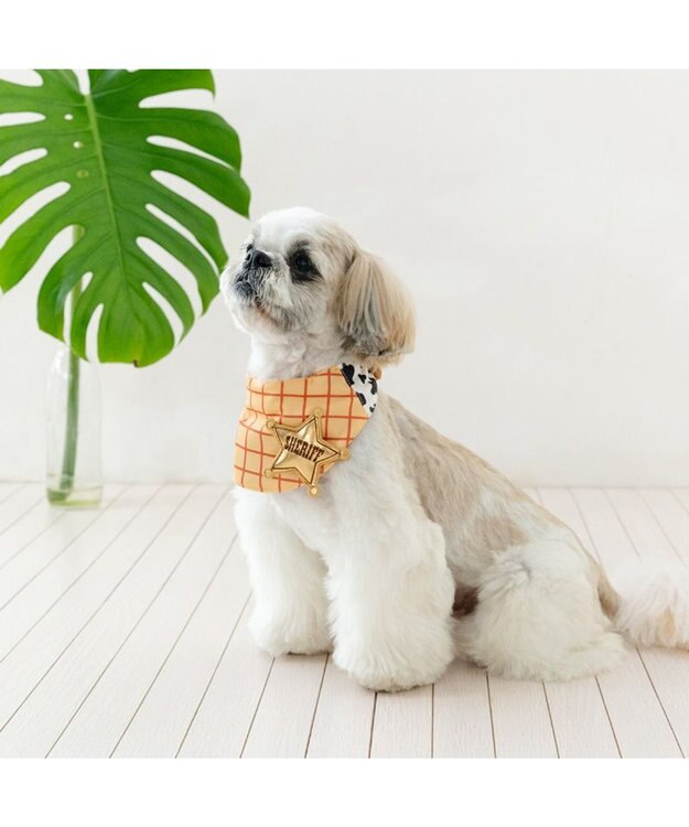 PET PARADISE ディズニー トイ・ストーリー ウッディ クール バンダナ 小型犬 ブラウン