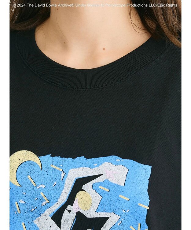 Green Parks ■Ｄａｖｉｄ　Ｂｏｗｉｅ　ＴＯＵＲ　ＴＥＥ Black