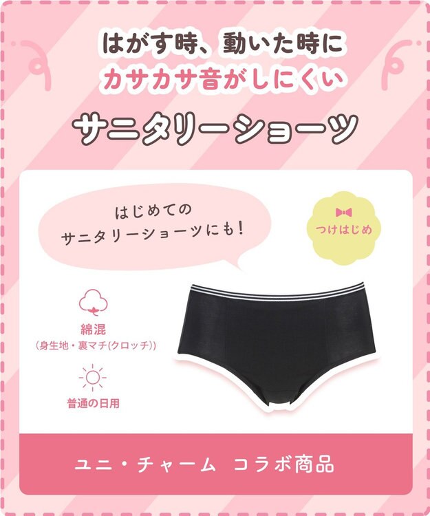 Wing ジュニア サニタリーショーツ Wing Teen 【ユニ・チャームコラボ商品】 羽付きナプキン対応 はきこみ丈ふつう RJ6340 ウイング／ワコール グレー