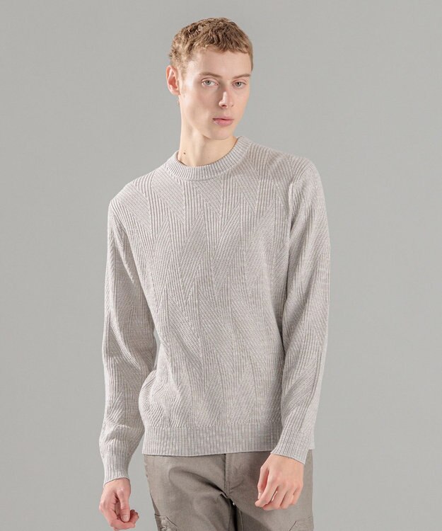 新柄【洗える】シルクバルキー クルーネックニット / JOSEPH HOMME