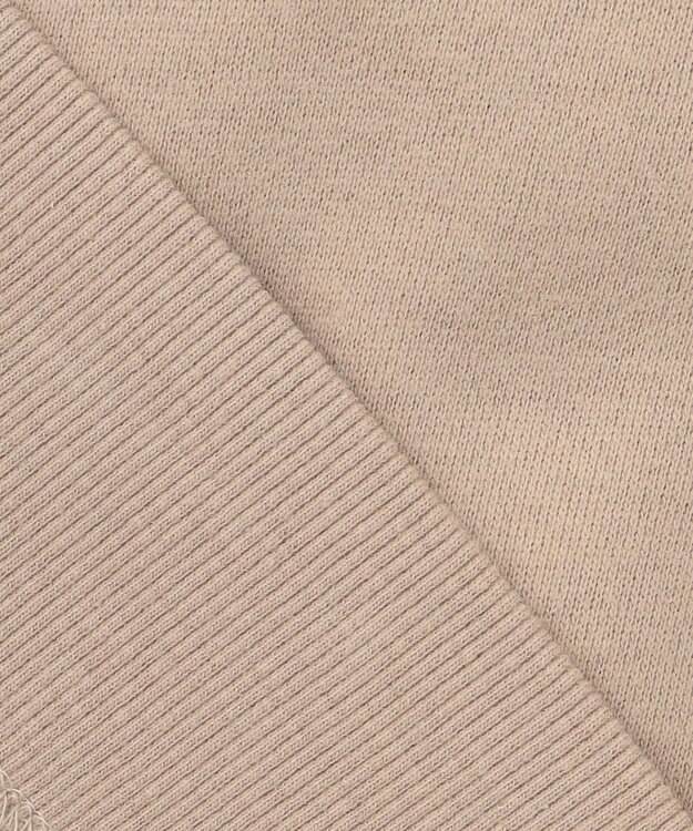 ANY 裏毛フーディ モカ