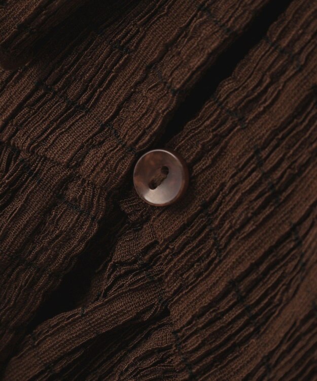 earth music&ecology チェックラッフルカラーペプラムカットブラウス Check Brown