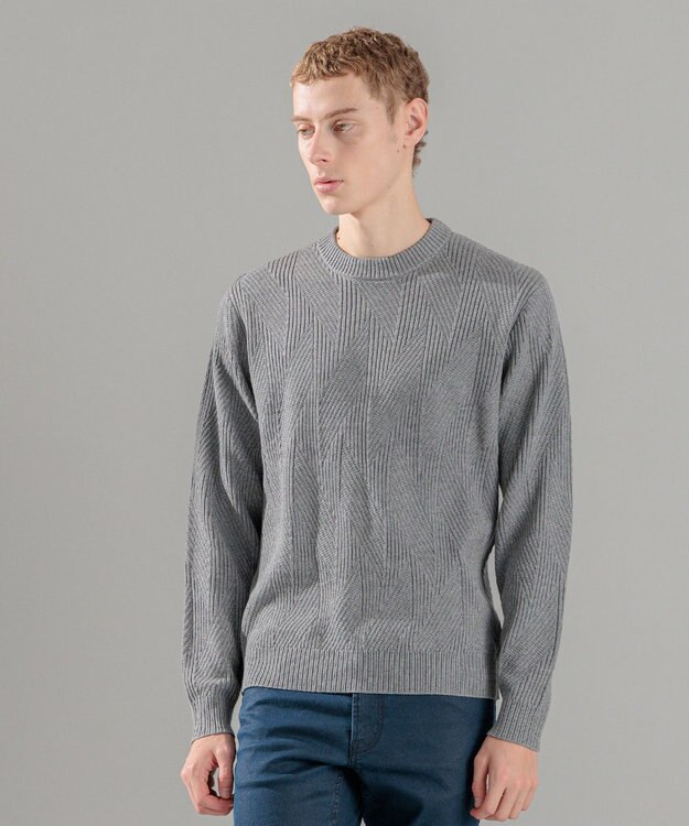 JOSEPH HOMME 新柄【洗える】シルクバルキー  クルーネックニット ライトグレー系