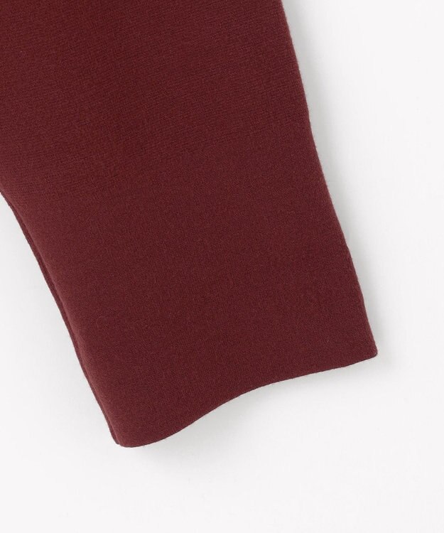 自由区 L 【カタログ掲載】レーヨンストレッチベーシックシルエット ニット ボルドー